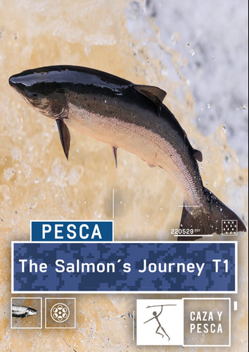 el viaje del salmon